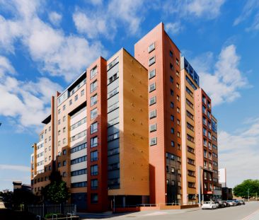 Premium Studio - Photo 6