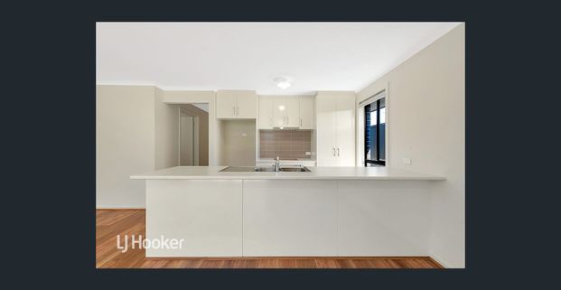 Brand New Living - Photo 1