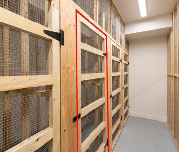 Appartement à Salaberry-de-Valleyfield - Photo 4