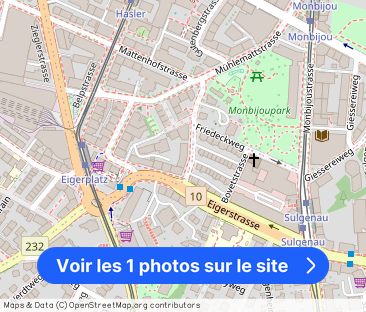 Ruige apartment in the city of Bern - Photo 1