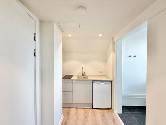 Moderne 1-værelses lejlighed med central beliggenhed - Photo 1