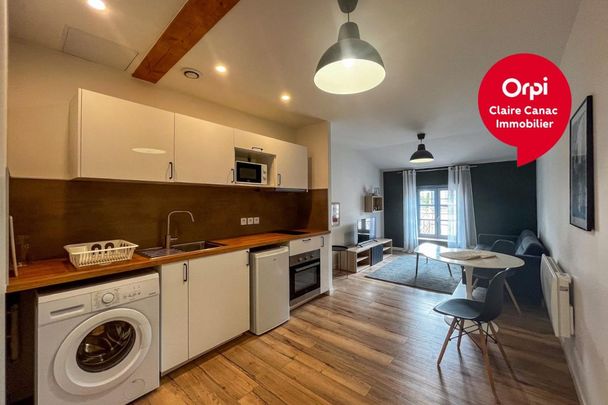 Location Appartement 1 pièce Meublé 34m² CASTRES 81100 - Photo 1