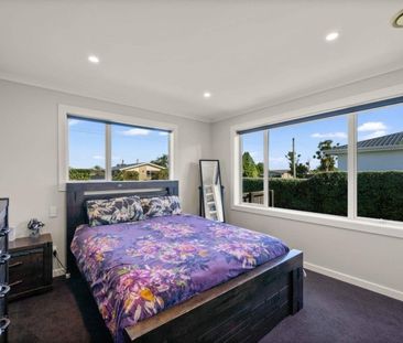 Solid Stobo - Photo 3