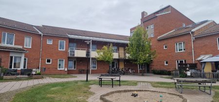 Skolörtsgången, Nyköping - Foto 5