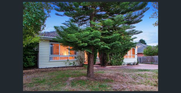 SPACIOUS FAMILY HOME WITH COVERED DECK & LARGE BACKYARD - Photo 1