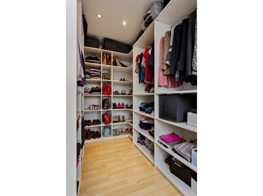 EINDHOVEN, Zandroos - Photo 1