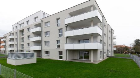 HOLLABRUNN XV/1 - Photo 4