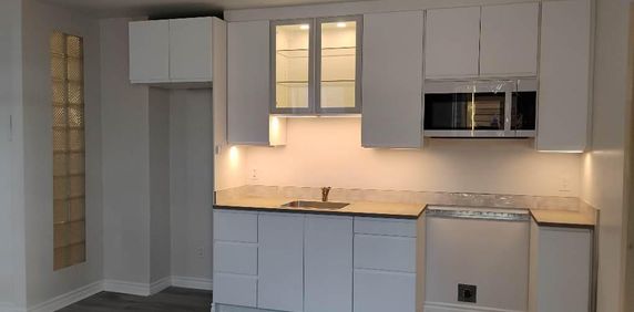 À louer 4 et demi entièrement rénové avec thermopompe, deux chambres fermées quartier tranquille - Photo 2