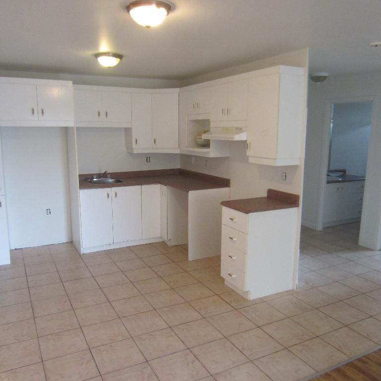 BEAU 4 1/2 LIBRE AU 1ER JUILLET DELSON RIVE SUD - Photo 1