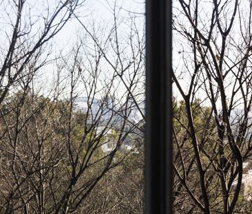 21/179 Darlinghurst Road, Darlinghurst NSW 2010 - Apartment For Ren... - Photo 6