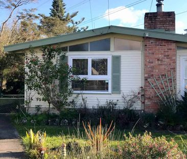 Pets Allowed - Photo 1