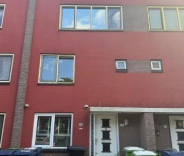 Siennastraat - Photo 3