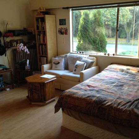 Kits big beautiful studio apartment, with wood floors,on the 2nd floor - Photo 3