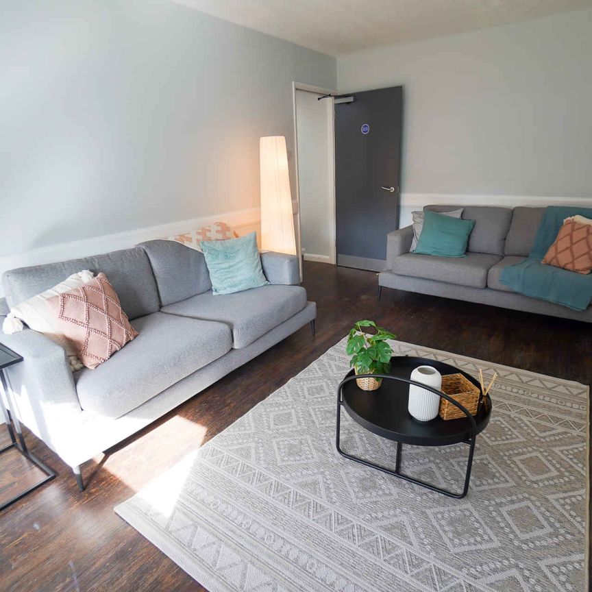 Bronze Plus Room - Photo 1