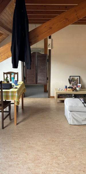 - GENT - Gemeubelde studio met mezzanine - Foto 1