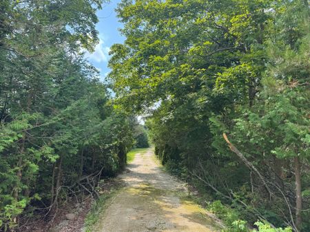 For Lease - 158 Osprey Heights, Grey Highlands, Ontario - Photo 3