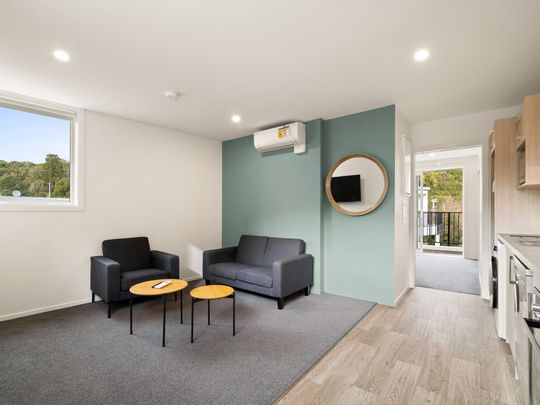 Modern, Furnished Apartment - Photo 1