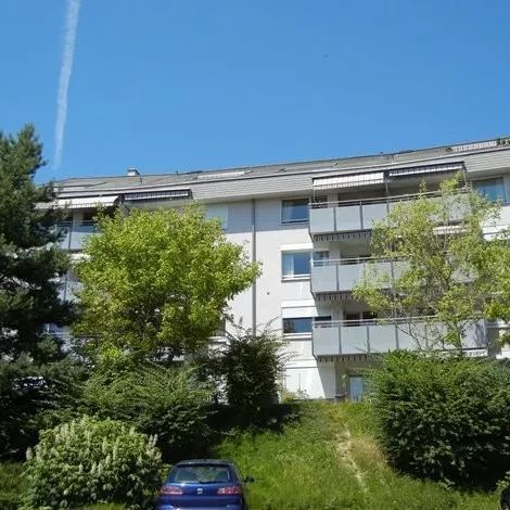 Joli appartement de 2 pièces dans un quartier proche de la nature - Foto 1