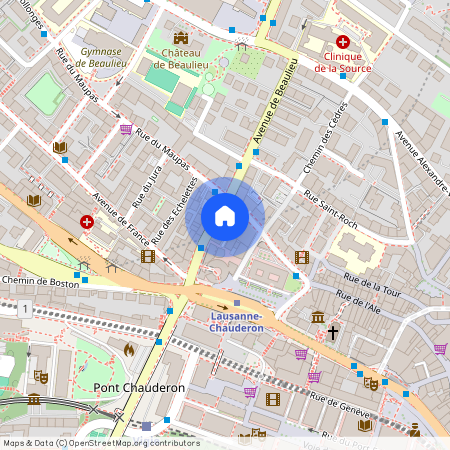 Rue du Maupas 15, 1004 LAUSANNE