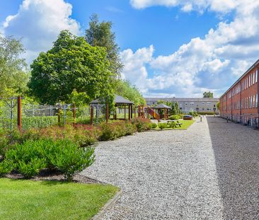 Afd. 1 Birkevang - Foto 2