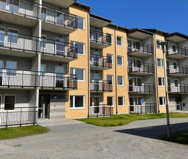 Björkhammargatan, Skelleftehamn - Foto 5