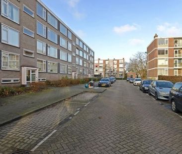 Quadenoord 0ong, 3079 Rotterdam, Nederland - Foto 1