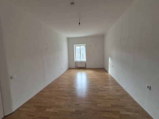 4-Zimmer Wohnung in traumhafter Lage Nähe Gärnerpark! - Foto 1