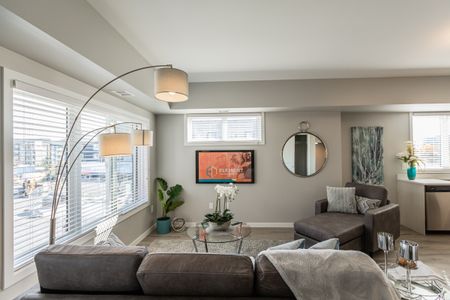 Element Townhomes in Prairie Pointe - Photo 3