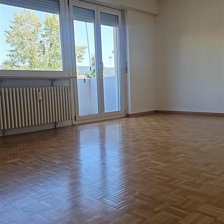 ATTRAKTIVE 5-ZIMMERWOHNUNG AN RUHIGER LAGE IN REINACH - Photo 1