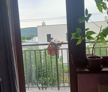 Pronájem bytu pokoj 23 m2 - Photo 3