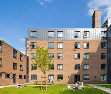 1 bedroom in a flat share to rent - Photo 1