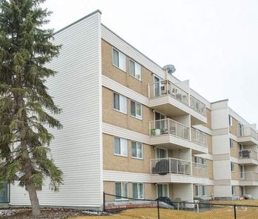 Meridian Pines - Photo 2