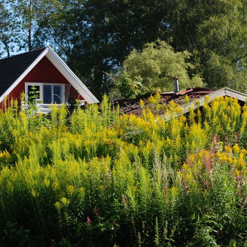 Järnvägsparken: Stor tvåa med snedtak - Foto 1