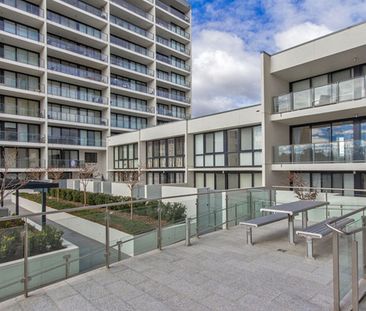 291/1 Mouat Street, Lyneham ACT 2602 - Apartment For Rent | Domain - Photo 6