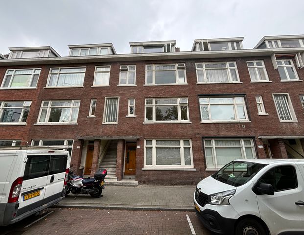 Boergoensevliet - Photo 1