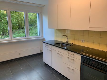 Nachmieter gesucht: Charmante 2-Zimmerwohnung im Grünen - Foto 5