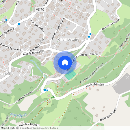 Route d'Anzère 110, 1972 Anzère