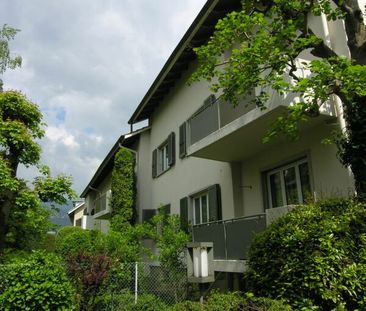 Eine 3½-Zimmerwohnung mit Balkon im ruhigen Lindenquartier - Photo 6