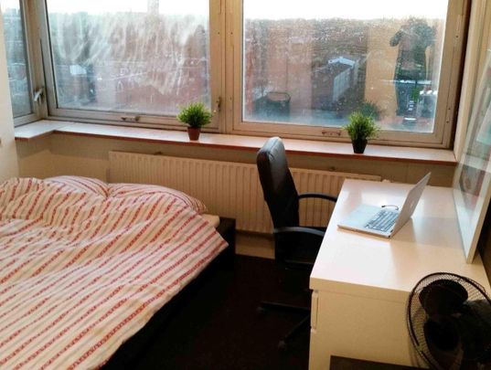 Te huur: Kamer Aan 't Verlaat in Delft - Foto 1