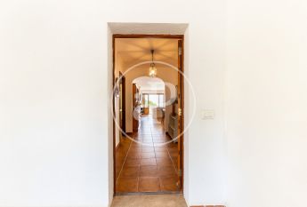 Flat for rent with Terrace in Port d’Alcúdia - Platja d'Alcúdia (Alcúdia)