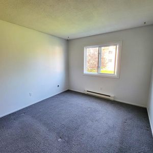 45 Rue Du Curé-André-Préseault (Gatineau) Grand Logement 1 Chambre - Photo 2