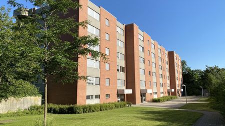 Urbanes Wohnen im Grünen: 2019 sanierte 3-Zimmerwohnung in Muttenz - Photo 2