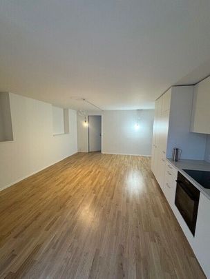 First rental after major renovation! - Photo 1