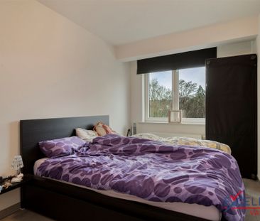 Modern 2 slaapkamer appartement te huur centrum Deinze - Foto 6