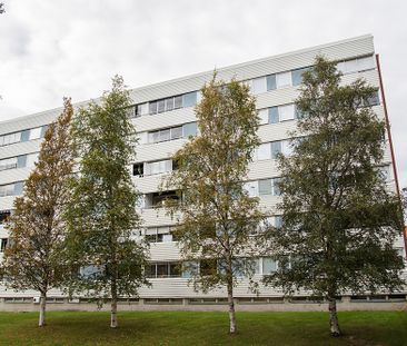 Hamnplan 20 B, 94161, Piteå - Foto 5