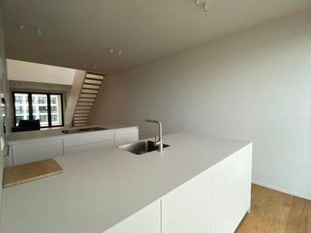 Nieuw-Zuid - Photo 4