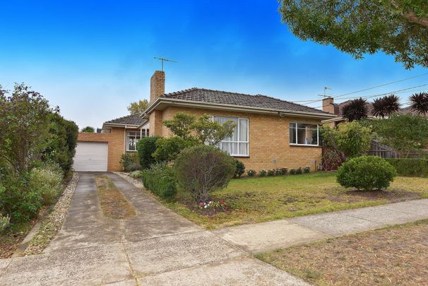 43 Darbyshire Road, Mount Waverley - Photo 1