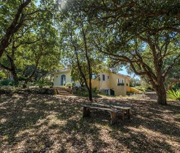 Apartamento T1 em Lisboa - Photo 4