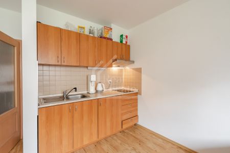 Pronájem bytu 1+kk a garsoniéry 37 m², Na vyhlídce , Praha - Photo 2