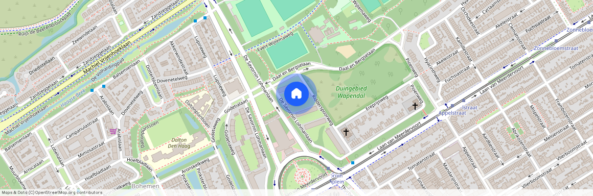 De Savornin Lohmanlaan 77, Bosjes van Pex, 2566AJ, Den Haag